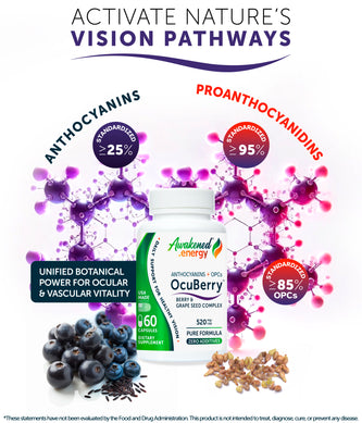 OcuBerry™ 520 mg – Anthocyanins, Antioxidant, Blood flow support – 60 capsules by Awakened.energy