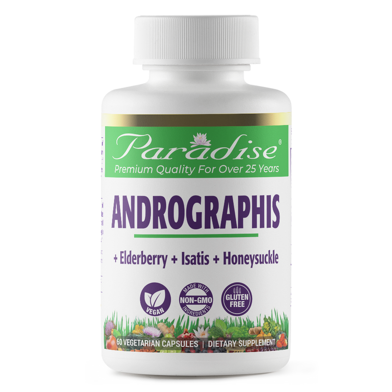 Andrographis with Elderberry | 60 Capsules | by Paradise Herbs