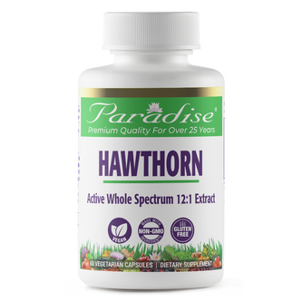 Hawthorn Berry | 60 Capsules | by Paradise Herbs