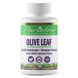 Olive Leaf | 60 Capsules | by Paradise Herbs