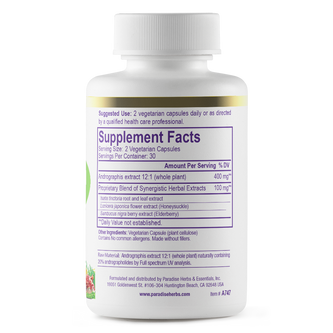 Andrographis with Elderberry | 60 Capsules | by Paradise Herbs