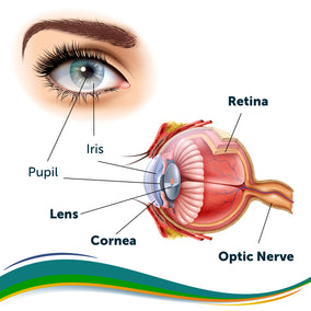 4 Science-Backed Ways Cod Liver Oil Can Strengthen Eyesight
