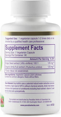 Grape Seed Extract, Active Whole Spectrum, Antioxidant 90 Capsules by Paradise Herbs