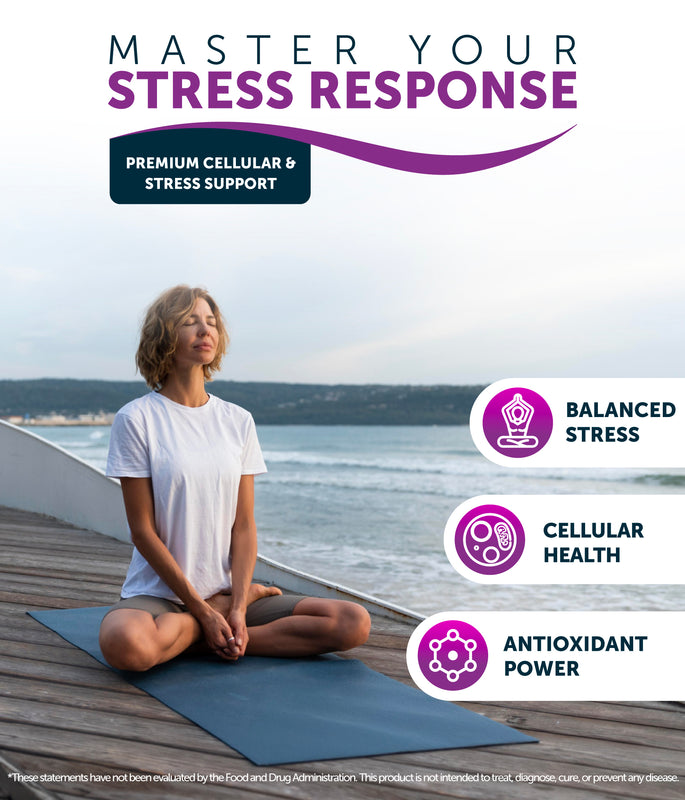 Grape Seed Extract 500 mg - Antioxidant, Cellular Health, Stress Response Support - Enovita®  French GSE, OPCs - No Additives - 60 Capsules by Awakened.energy