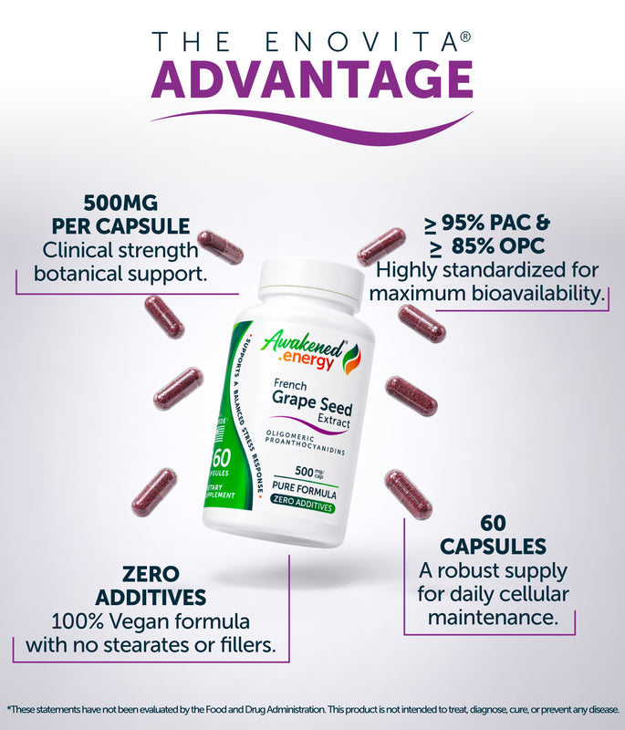 Grape Seed Extract 500 mg - Antioxidant, Cellular Health, Stress Response Support - Enovita®  French GSE, OPCs - No Additives - 60 Capsules by Awakened.energy