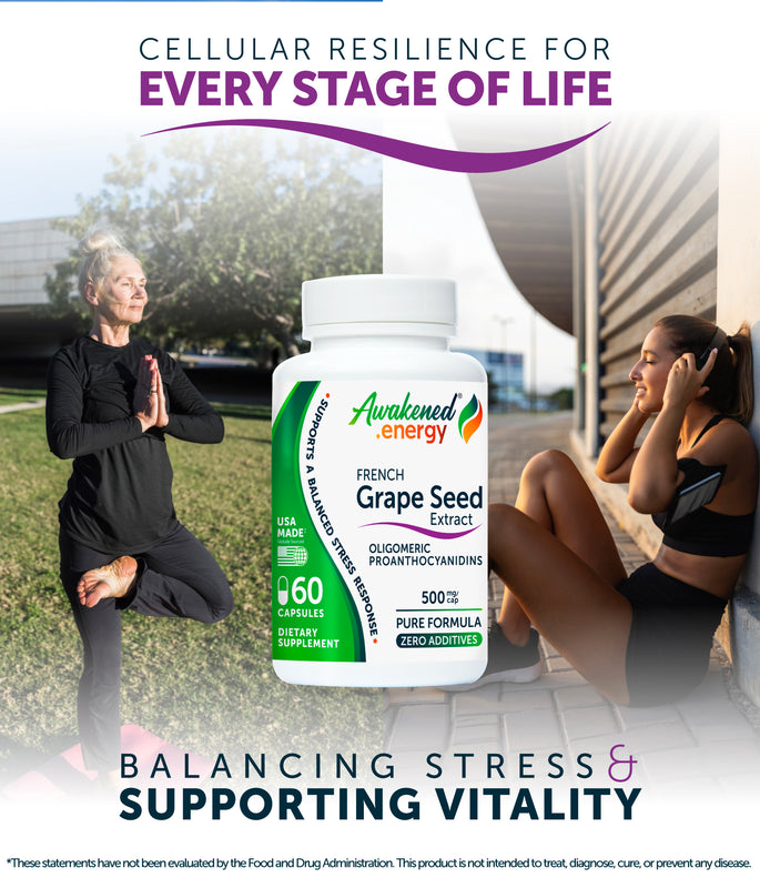 Grape Seed Extract 500 mg - Antioxidant, Cellular Health, Stress Response Support - Enovita®  French GSE, OPCs - No Additives - 60 Capsules by Awakened.energy