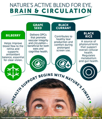 OcuBerry™ 520 mg – Anthocyanins, Antioxidant, Blood flow support – 60 capsules by Awakened.energy