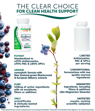 OcuBerry™ 520 mg – Anthocyanins, Antioxidant, Blood flow support – 60 capsules by Awakened.energy