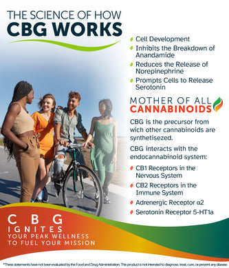 CBG (Cannabigerol) Organic Tincture - by Awakened.energy