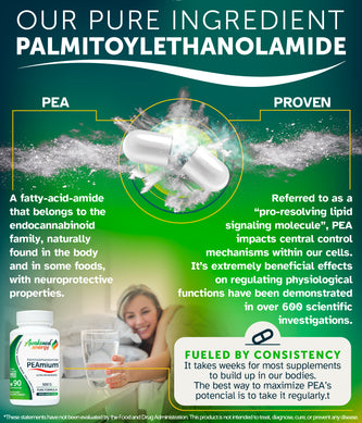 PEAmium 500mg - Ultra Micronized Palmitoylethanolamide - Supports Nerve Cells, Cellular Repair – No Additives - 90 Capsules by Awakened.energy