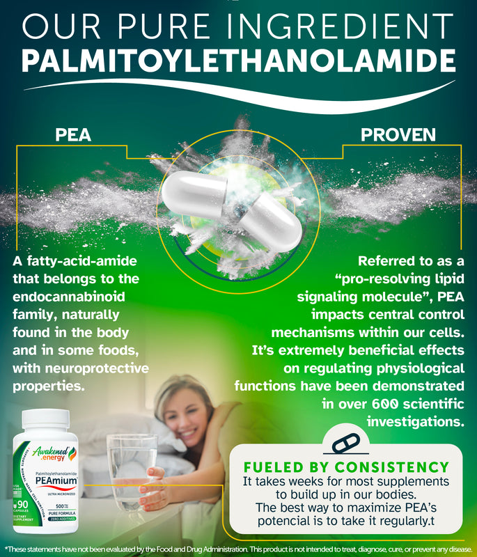 PEAmium 500mg - Ultra Micronized Palmitoylethanolamide - Supports Nerve Cells, Cellular Repair – No Additives - 90 Capsules by Awakened.energy