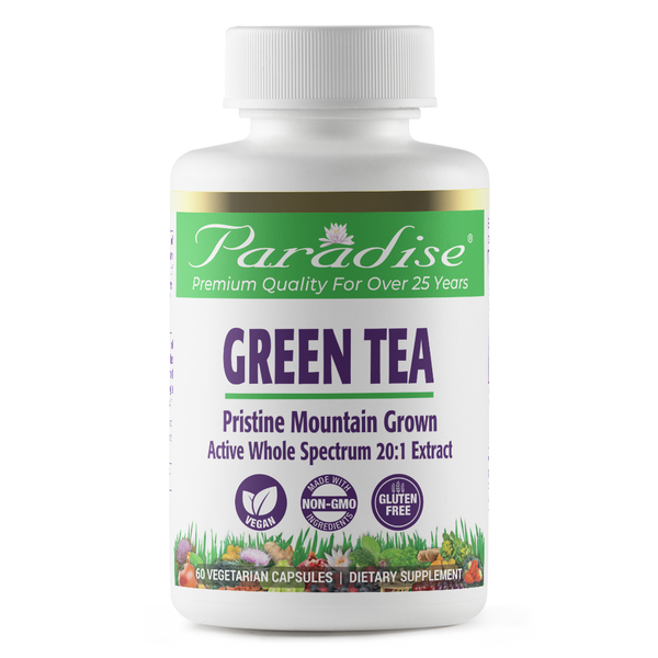 Green Tea - Pristine Mountain Grown | 120 Capsules | by Paradise Herbs