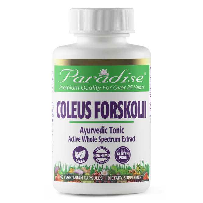 Coleus Forskolii Extract | 60 Capsules | by Paradise Herbs