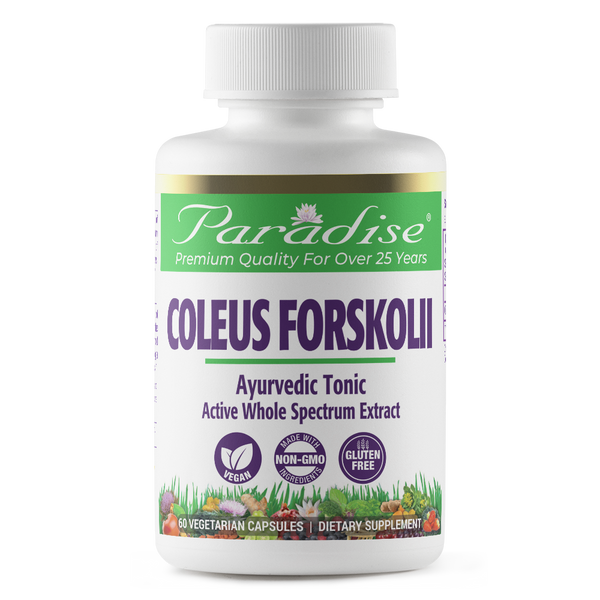 Coleus Forskolii Extract | 60 Capsules | by Paradise Herbs