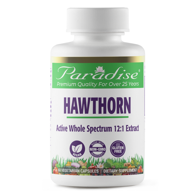 Hawthorn Berry | 60 Capsules | by Paradise Herbs